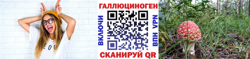 Галлюциногенные грибы Psilocybine cubensis площадка клад Котельниково
